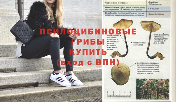 герыч Алексин