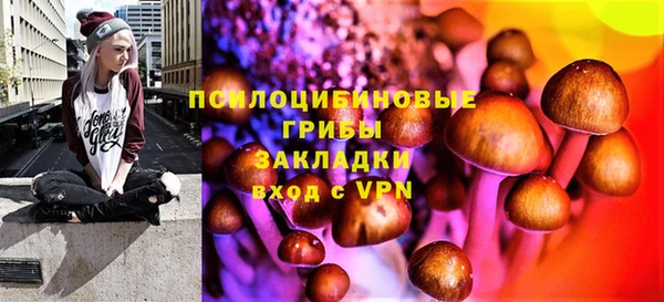 герыч Алексин