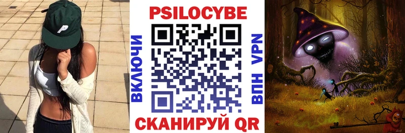 Псилоцибиновые грибы Cubensis  где можно купить   Урюпинск 